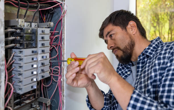 Best Electric Panel Repair  in Robbins, NC